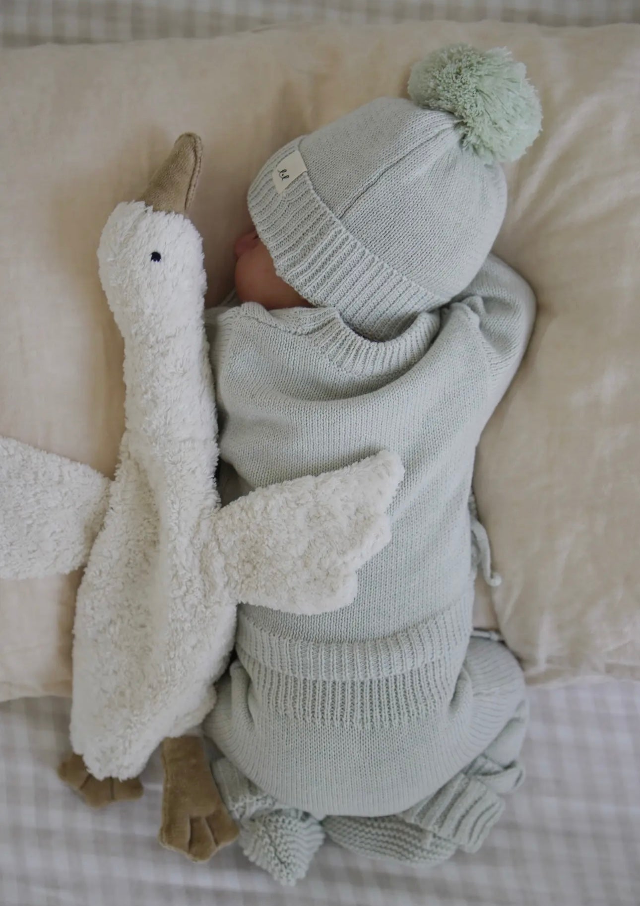 Bring Me Home Rib Bundle (Sage)