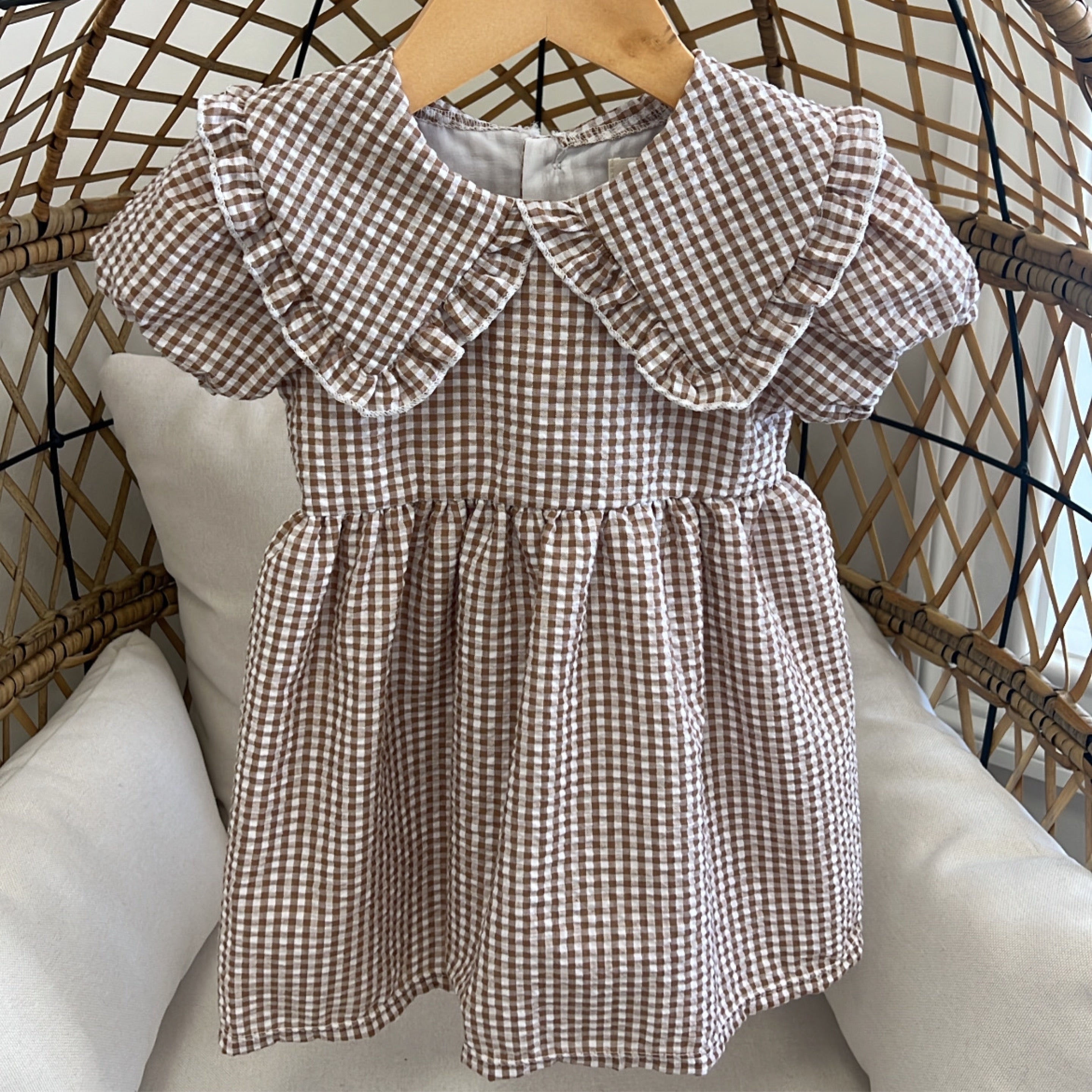 Gingham Peter Pan Dress