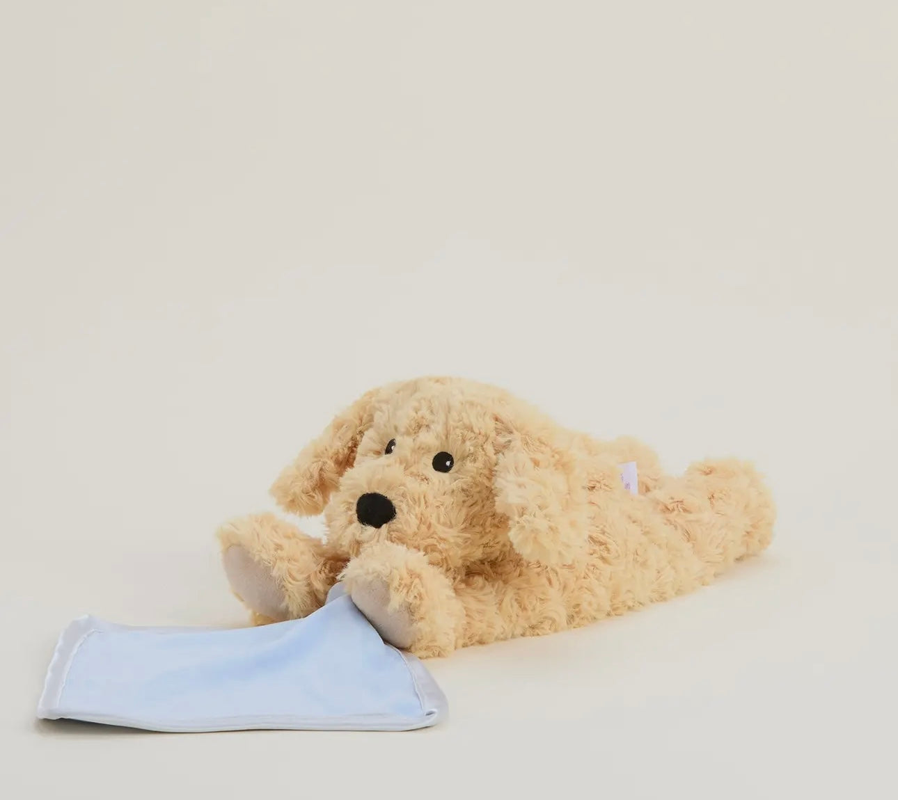 Golden Dog Warmie with Blue Blanket
