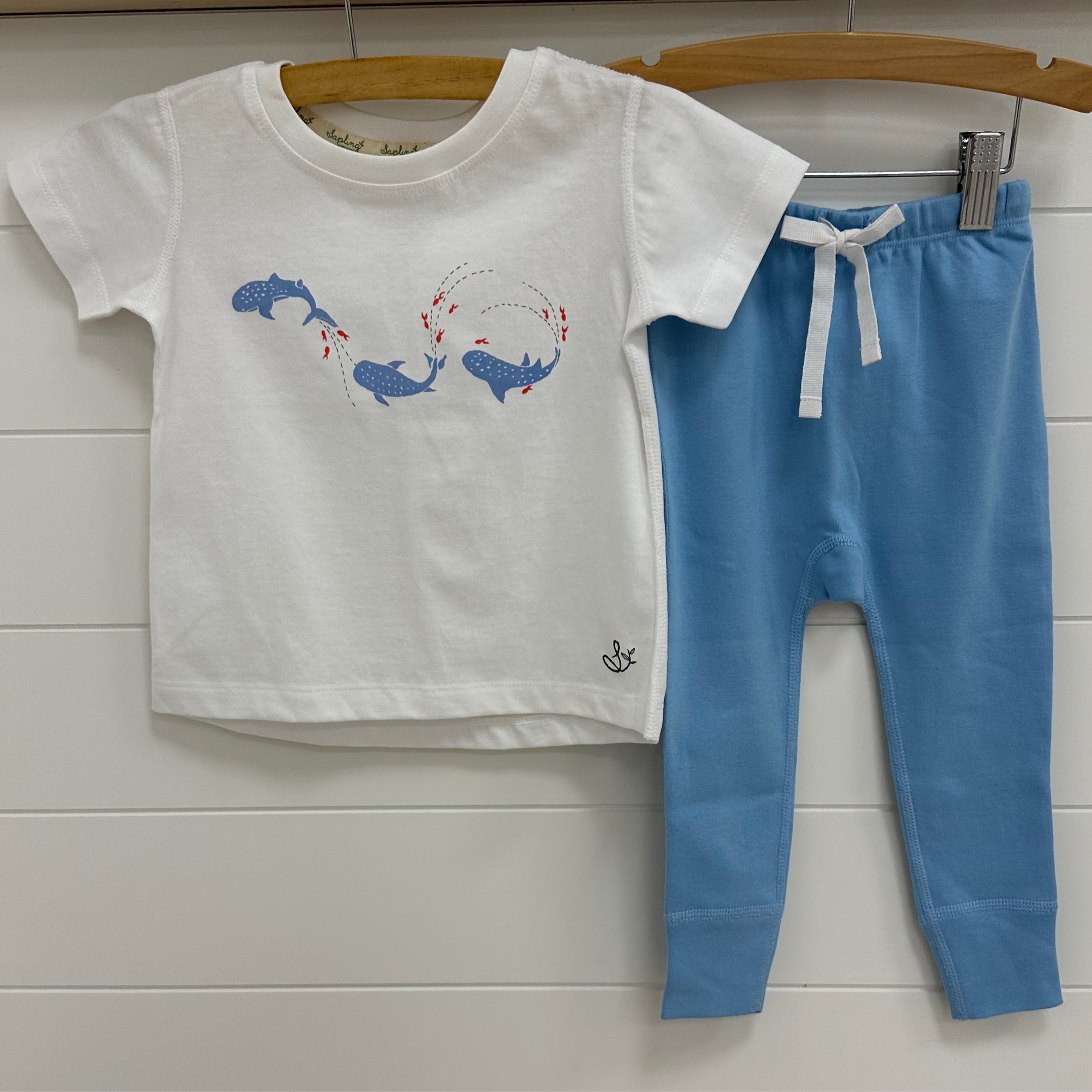 2 Piece Whale Shark Set